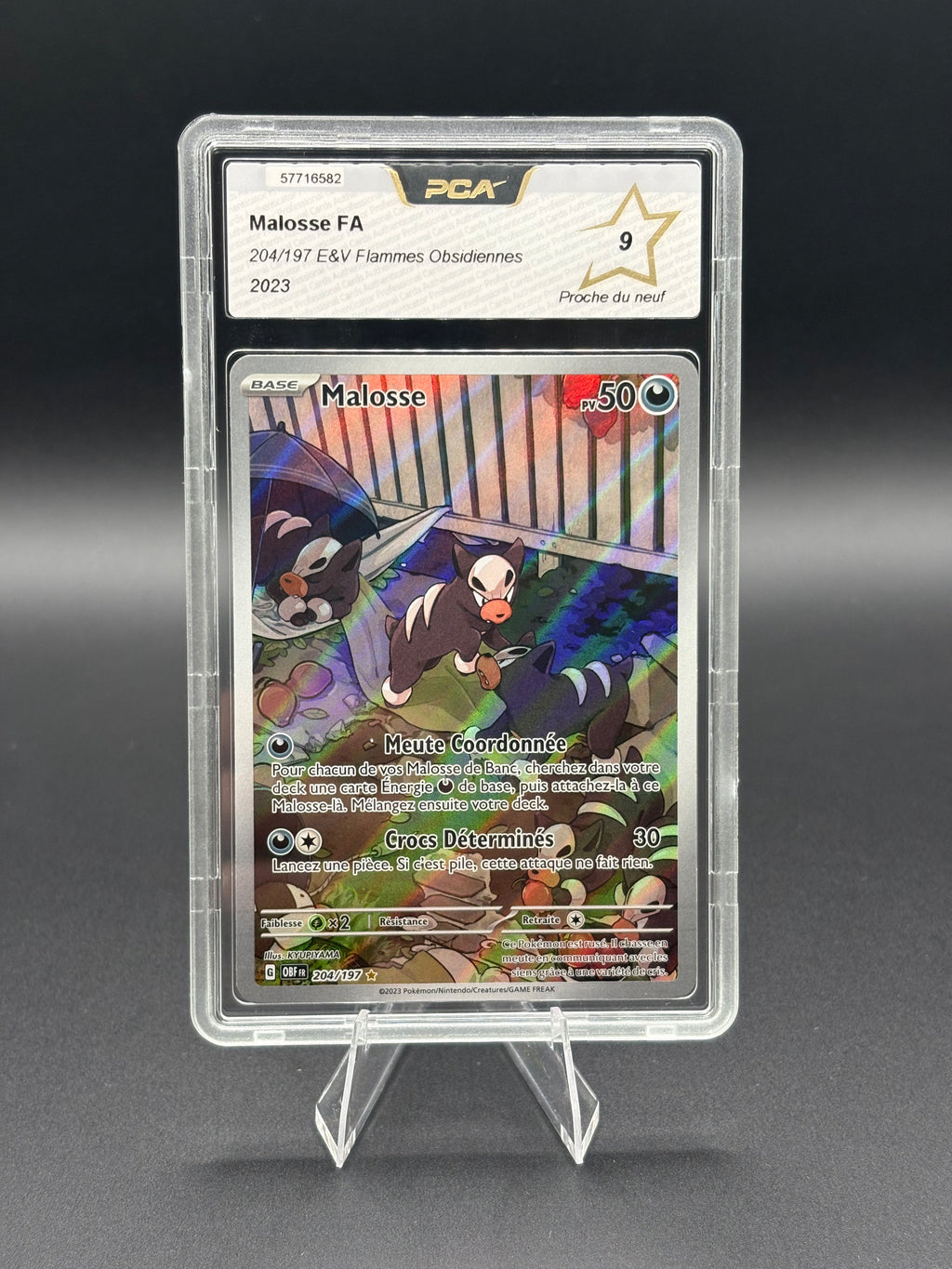 Malosse AR 204/197 PCA 9