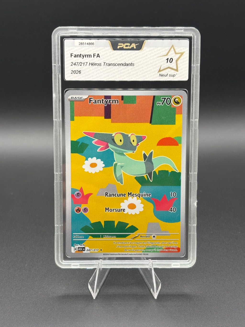 Fantyrm AR 247/217 PCA 10