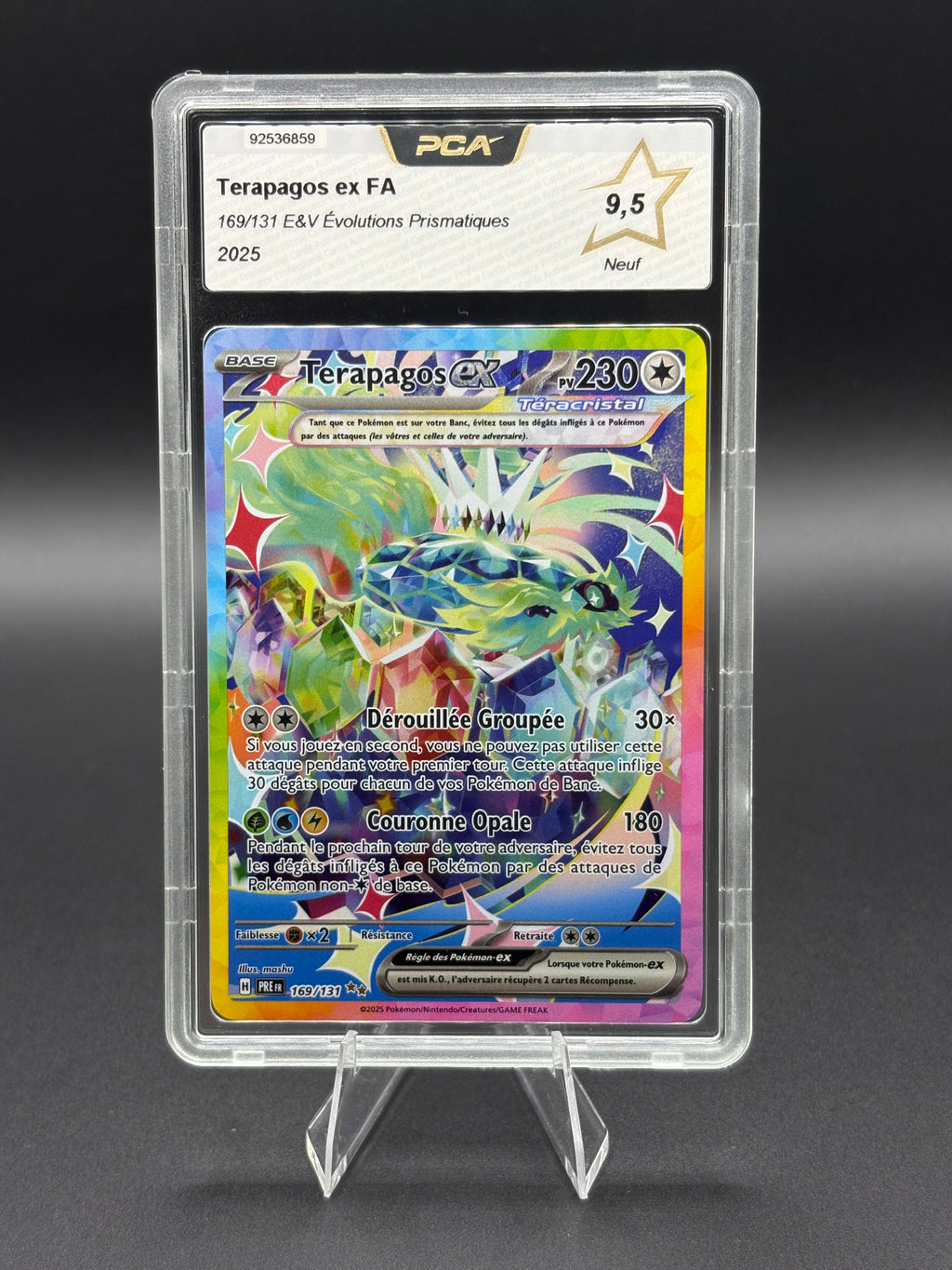 Terrapagos ex 169/131 PCA 9,5