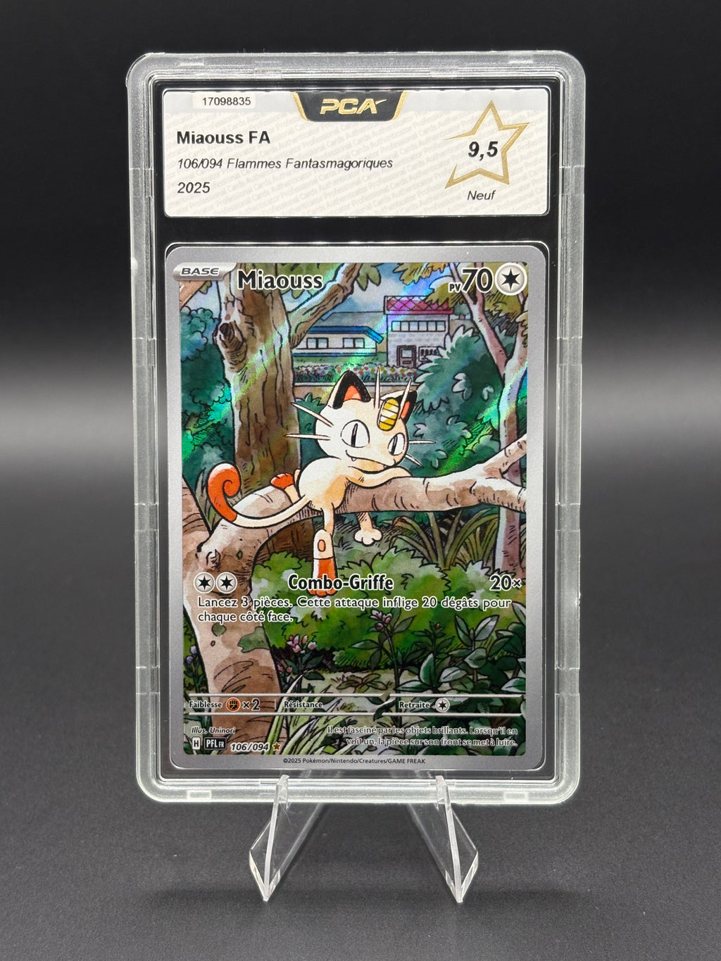 Miaouss AR 106/094 PCA 9,5