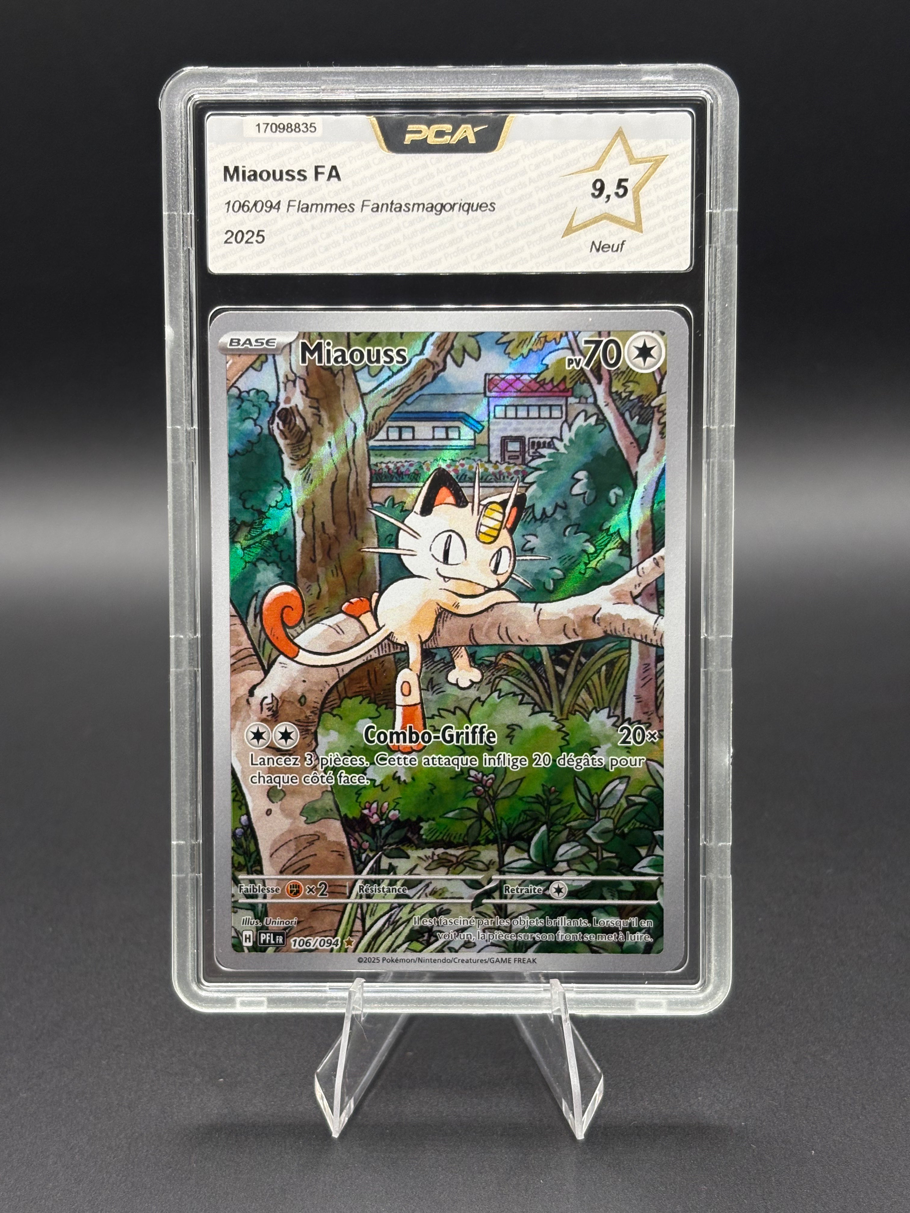 Miaouss AR 106/094 PCA 9,5