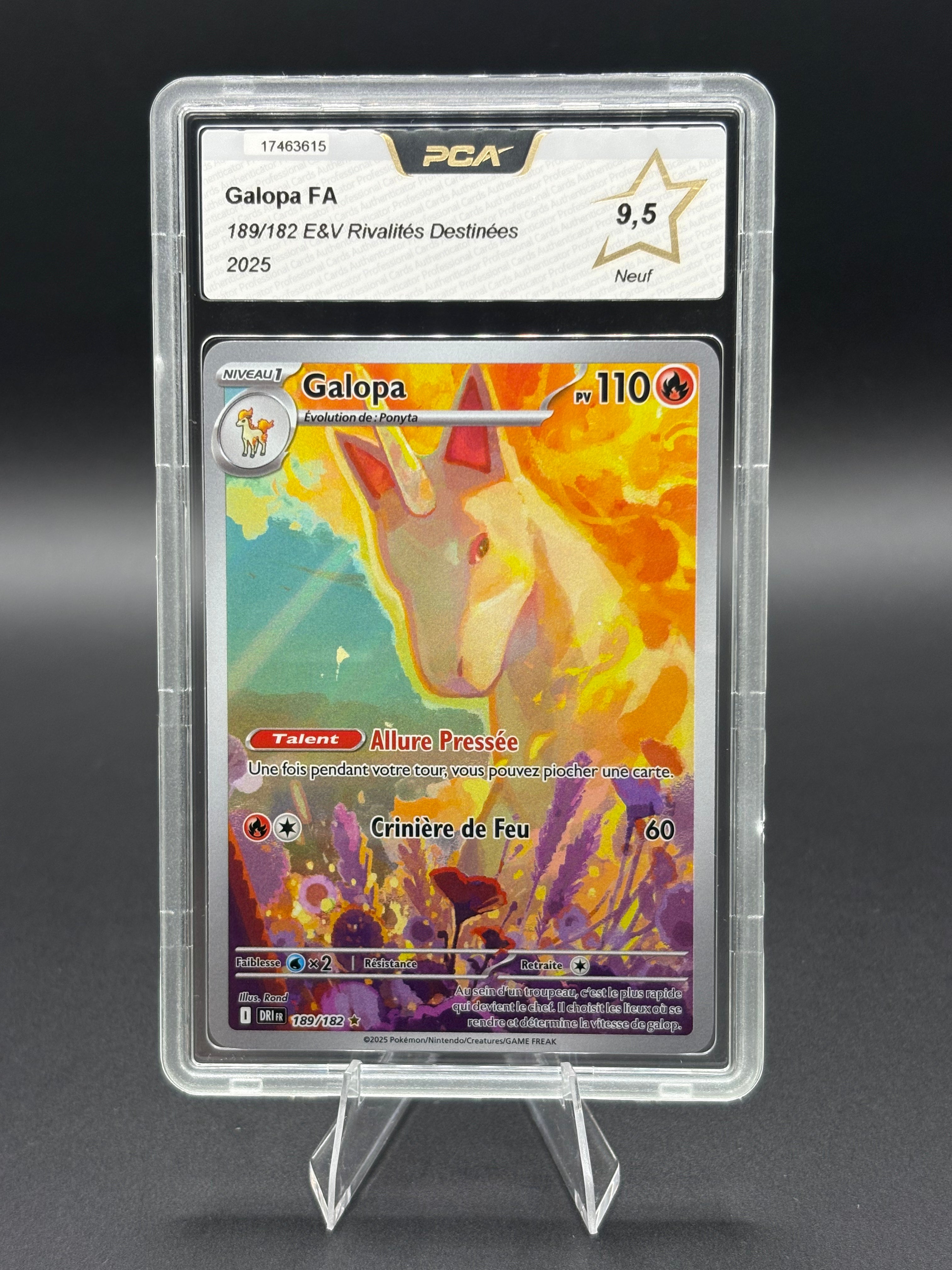 Galopa AR 189/182 PCA 9,5